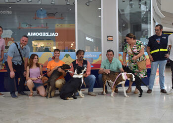 El albergue provincial de animales de Cuenca realiza 71 adopciones y siete acogidas temporales durante la primera mitad del año