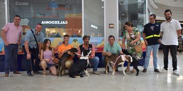 El albergue provincial de animales de Cuenca realiza 71 adopciones y siete acogidas temporales durante la primera mitad del año