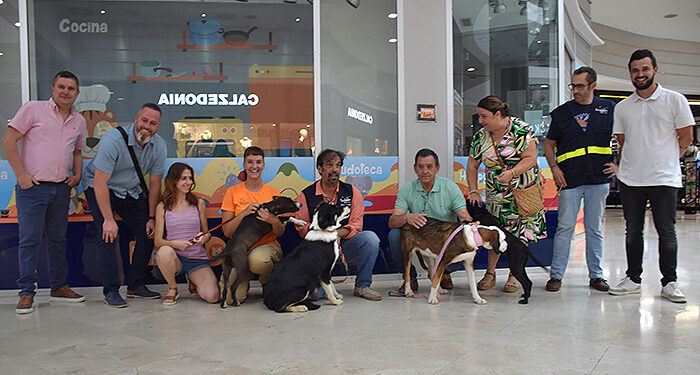 El albergue provincial de animales de Cuenca realiza 71 adopciones y siete acogidas temporales durante la primera mitad del año