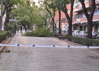El fuerte viento deja 26 incidencias en Guadalajara capital, principalmente por caída de árboles y ramas 8 El fuerte viento deja 26 incidencias en Guadalajara capital, principalmente por caída de árboles y ramas
