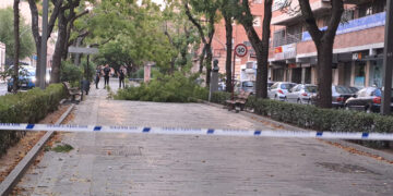 El fuerte viento deja 26 incidencias en Guadalajara capital, principalmente por caída de árboles y ramas
