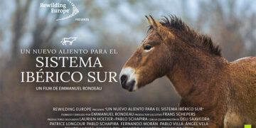 Este martes se estrena un documental de producción internacional sobre el impacto de la renaturalización en el Sistema Ibérico Sur