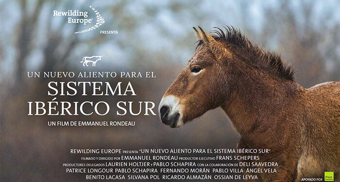 Este martes se estrena un documental de producción internacional sobre el impacto de la renaturalización en el Sistema Ibérico Sur