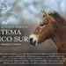 Este martes se estrena un documental de producción internacional sobre el impacto de la renaturalización en el Sistema Ibérico Sur