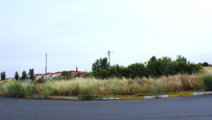 Jiménez denuncia que la rotonda conmemorativa a los funcionarios de prisiones lleva cuatro años de retraso y pide a Dolz que la acondicione con celeridad