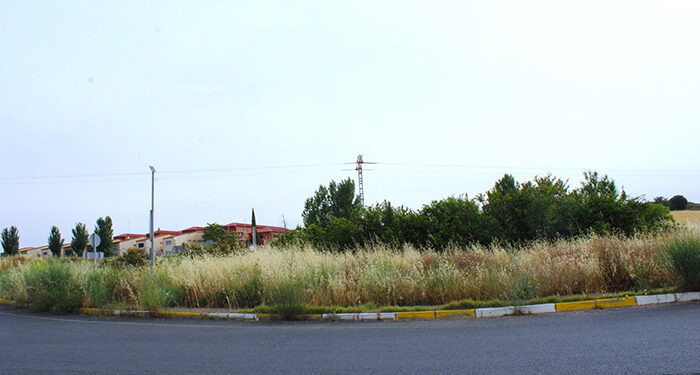 Jiménez denuncia que la rotonda conmemorativa a los funcionarios de prisiones lleva cuatro años de retraso y pide a Dolz que la acondicione con celeridad