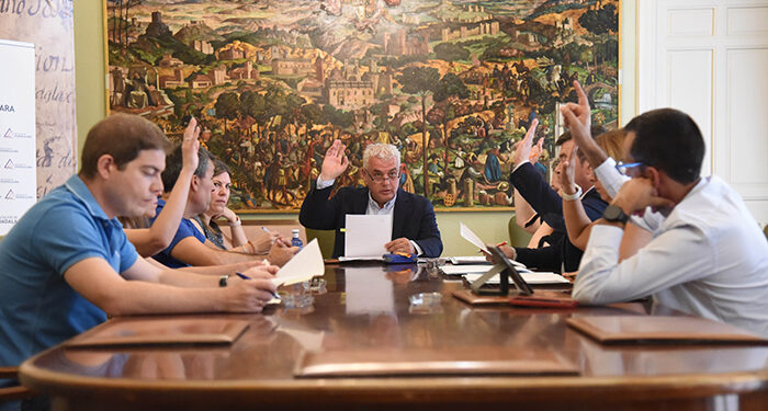 La Diputación de Guadalajara aprueba el proyecto para ampliar el puente sobre el Henares en la carretera de Albolleque