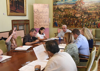La Diputación de Guadalajara aprueba el proyecto para crear el Museo de la Lavanda y el Perfume en Brihuega