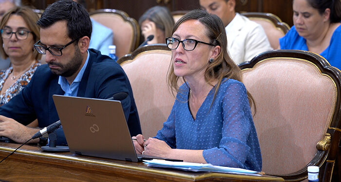 La Diputación de Guadalajara defiende una financiación autonómica que contemple las particularidades y necesidades de Castilla-La Mancha