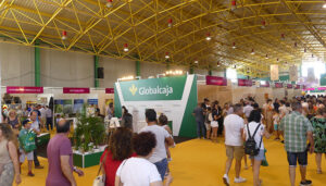 La Feria Internacional del Ajo de Las Pedroñeras contará con más de 40 expositores y una amplia programación para celebrar su 50 edición