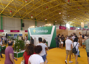 La Feria Internacional del Ajo de Las Pedroñeras contará con más de 40 expositores y una amplia programación para celebrar su 50 edición