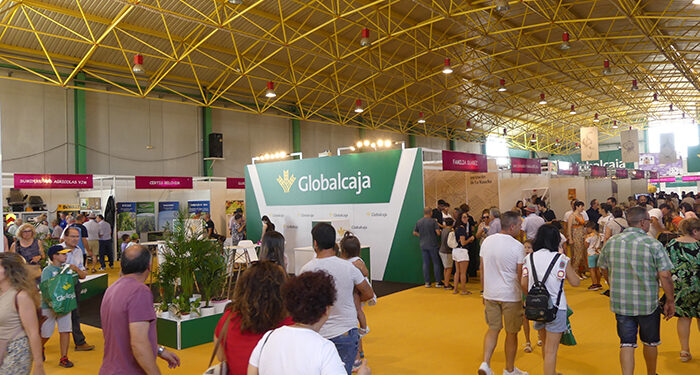 La Feria Internacional del Ajo de Las Pedroñeras contará con más de 40 expositores y una amplia programación para celebrar su 50 edición 1 La Feria Internacional del Ajo de Las Pedroñeras contará con más de 40 expositores y una amplia programación para celebrar su 50 edición