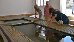 La Junta colabora con Fuentelespino de Moya en la renovación del alumbrado municipal