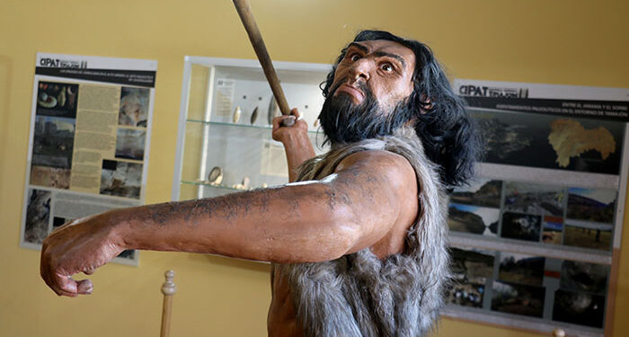 La Sala de Evolución Humana del CIPAT de Tamajón da la bienvenida a una nueva figura