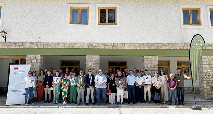La UCLM recibe en Tragacete a sus socios europeos de la alianza ‘Colours’ para abordar el reto de la despoblación 1 La UCLM recibe en Tragacete a sus socios europeos de la alianza ‘Colours’ para abordar el reto de la despoblación