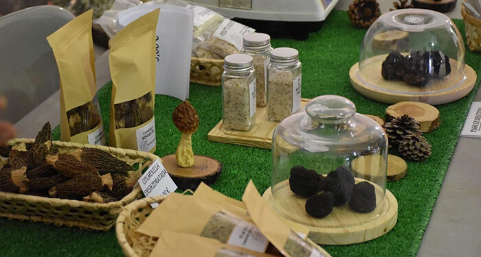 Más de una treintena de municipios de la provincia podrán organizar ferias rurales con ayudas de la Diputación de Cuenca 1 Más de una treintena de municipios de la provincia podrán organizar ferias rurales con ayudas de la Diputación de Cuenca