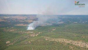 Ocho medios, cuatro áreos, y 30 personas luchan contra un incendio declarado en Parra de las Vegas en Cuenca