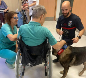 Pacientes del Instituto de Enfermedades Neurológicas conocen la labor de los perros de rescate en una actividad que aporta beneficios emocionales y sociales