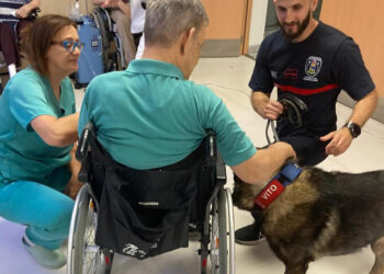 Pacientes del Instituto de Enfermedades Neurológicas conocen la labor de los perros de rescate en una actividad que aporta beneficios emocionales y sociales