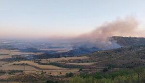 Registrado un incendio en terrenos agrícolas en Taracena