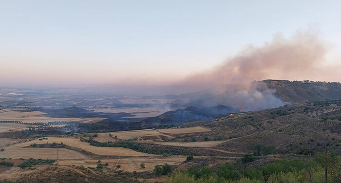 Registrado un incendio en terrenos agrícolas en Taracena 1 Registrado un incendio en terrenos agrícolas en Taracena