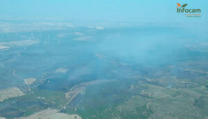 Se incorporan los medios aéreos al incendio de Valverdejo