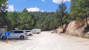 Se intensifican las medidas de regulación de acceso de vehículos y vigilancia en el Parque Natural del Alto Tajo