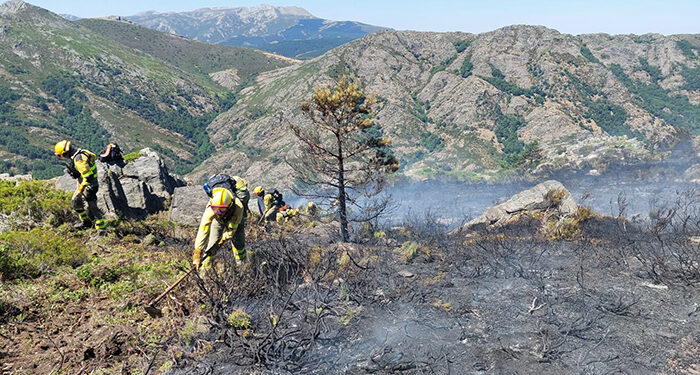 Un total de 16 medios, de los que siete son aéreos, y 71 personas luchan para volver a controlar el incendio en Cantalojas