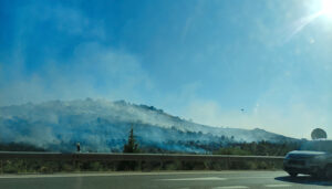 Un total de 17 medios y 74 personas luchan contra el fuego a la entrada de Guadalajara por la N-320