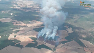 Valverdejo también arde