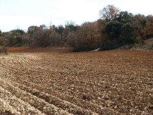 363 fincas en venta 43