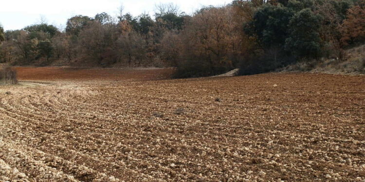 363 fincas en venta 43