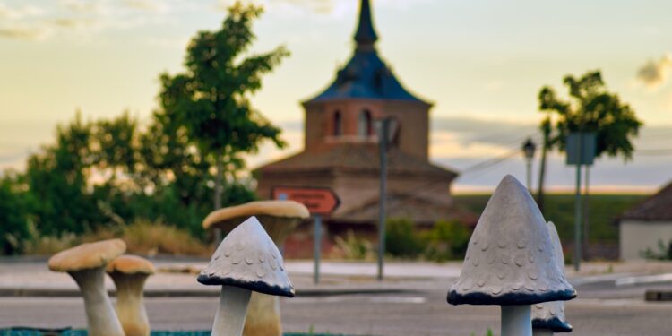 Comienza la Semana Cultural en Quer 1 5df34af2455770f7994d0625ff582c27 L