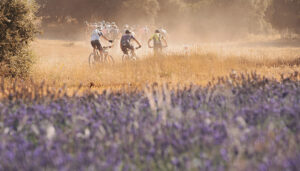 Alejandro Fernández y Beatriz Martínez se llevan el X Trofeo MTB Jardín de La Alcarria de Brihuega