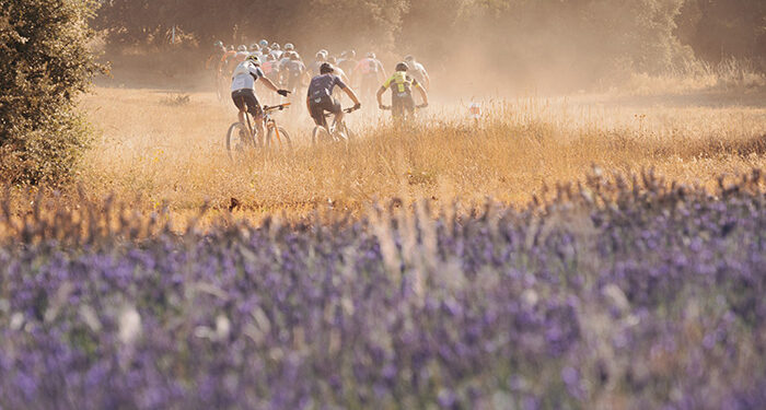 Alejandro Fernández y Beatriz Martínez se llevan el X Trofeo MTB Jardín de La Alcarria de Brihuega