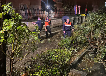 Bomberos, Policía Local y Protección Civil atendieron más de una treintena de incidencias durante el paso de la DANA por Guadalajara 9 Bomberos, Policía Local y Protección Civil atendieron más de una treintena de incidencias durante el paso de la DANA por Guadalajara