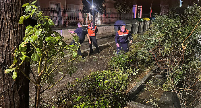 Bomberos, Policía Local y Protección Civil atendieron más de una treintena de incidencias durante el paso de la DANA por Guadalajara 1 Bomberos, Policía Local y Protección Civil atendieron más de una treintena de incidencias durante el paso de la DANA por Guadalajara