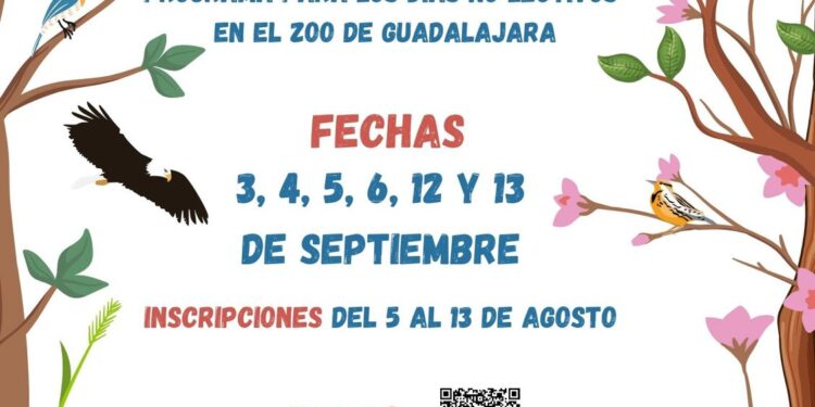Se amplía el servicio de “Días sin cole” en el Zoo municipal de Guadalajara con 30 plazas al día 1 Cartel sin cole en el zoo cartel
