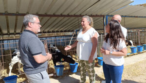 Casi 550 agricultores y ganaderos renovarán su maquinaria y equipos tras la resolución de la última convocatoria de Planes de Mejora