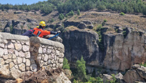 Cortado el acceso por la calle Canónigos a las Casas Colgadas por el vuelco de un árbol