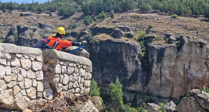 Cortado el acceso por la calle Canónigos a las Casas Colgadas por el vuelco de un árbol
