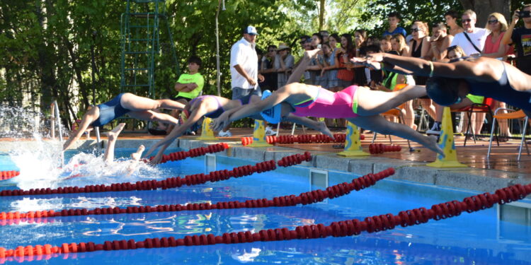 El Interpueblos de Natación de Guadalajara alcanza las 2.540 personas 1 DSC 0544