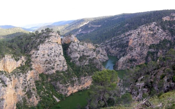 ACEM.El incumplimiento de los caudales ecológicos del río ojos de moya pone en peligro ecosistemas y zonas de especial conservación de las hoces del Cabriel, Guadazaón y Ojos de Moya. 1 Hoces del rio mira