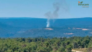 Incendio en Enguídanos