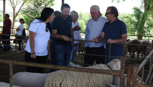 La Diputación de Guadalajara ayuda a APAG y UPA con 47.000 euros para mejorar la formación de agricultores y ganaderos