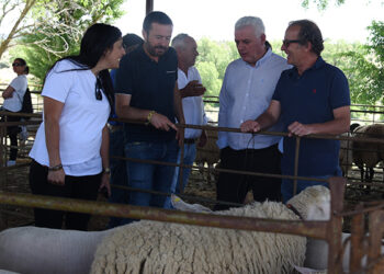 La Diputación de Guadalajara ayuda a APAG y UPA con 47.000 euros para mejorar la formación de agricultores y ganaderos