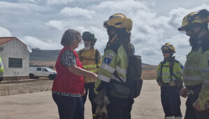 La Junta refuerza los trabajos preventivos frente a los incendios forestales con una nueva convocatoria de ayudas para el pastoreo controlado