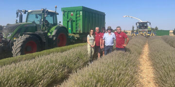La Junta visita los campos de lavanda para conocer su estado ante el adelanto de la cosecha