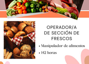 La formación en Cáritas Diocesana Guadalajara se amplía con el curso de Operador de Frescos para este otoño