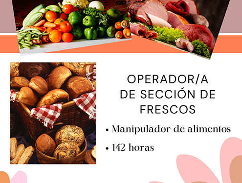 La formación en Cáritas Diocesana Guadalajara se amplía con el curso de Operador de Frescos para este otoño 1 La formación en Cáritas Diocesana Guadalajara se amplía con el curso de Operador de Frescos para este otoño